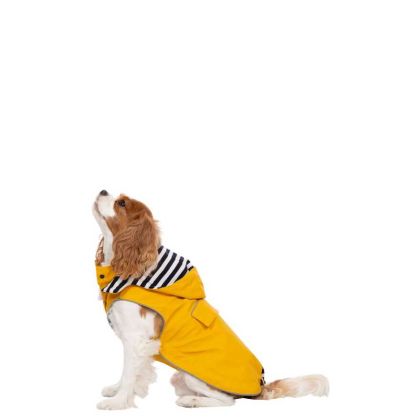 Trespaws XS Waterproof Dog Coat Seadog