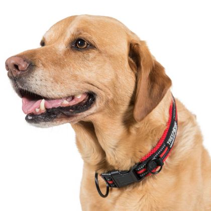 Trespaws Large Dog Collar Scooby in Postbox Red