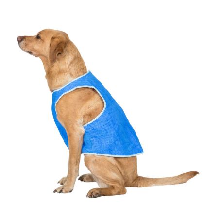 Trespaws Large Dog Cooling Vest in Sapphire Alaska
