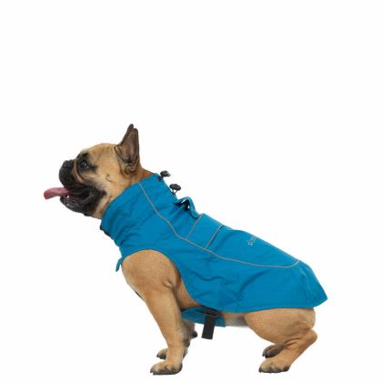 Trespaws Small Dog Raincoat in Marine Cinder