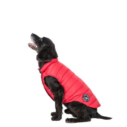 Trespaws Medium Down Dog Jacket in Red Dogby