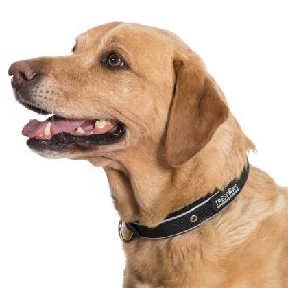 Trespaws Large Reflective Soft Touch Dog Collar in Black Keira