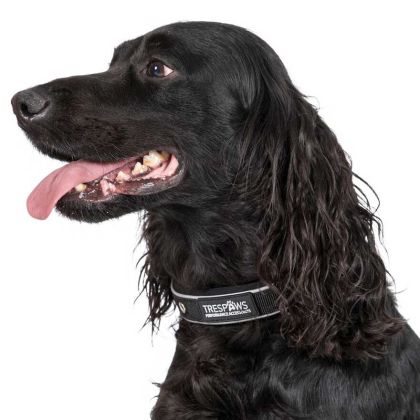 Trespaws Medium Reflective Soft Touch Dog Collar in Black Keira