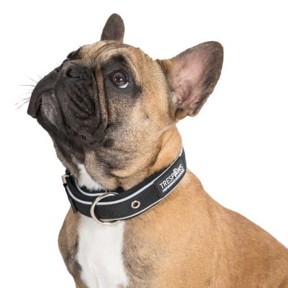 Trespaws Small Reflective Soft Touch Dog Collar in Black Keira