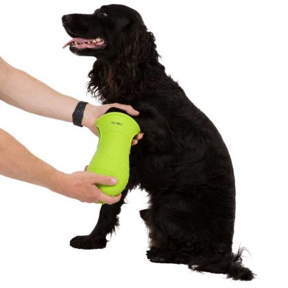 Trespaws Dual Paw Cleaner and Silicone Bathing Brush in Lime Mucky