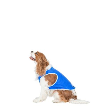 Trespaws Small Dog Cooling Vest in Sapphire Alaska
