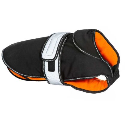 Butch 2017 Insulated Softshell Dog Coat - BLX, Front view on mannequin