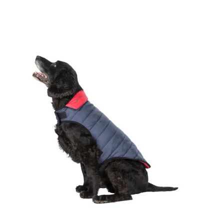 Trespaws Medium Quilted Reversible Packaway Dog Jacket in Flint Kimmi