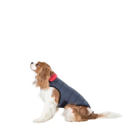Trespaws XS Quilted Reversible Packaway Dog Jacket in Flint Kimmi
