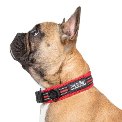 Trespaws Small Dog Collar Scooby in Postbox Red